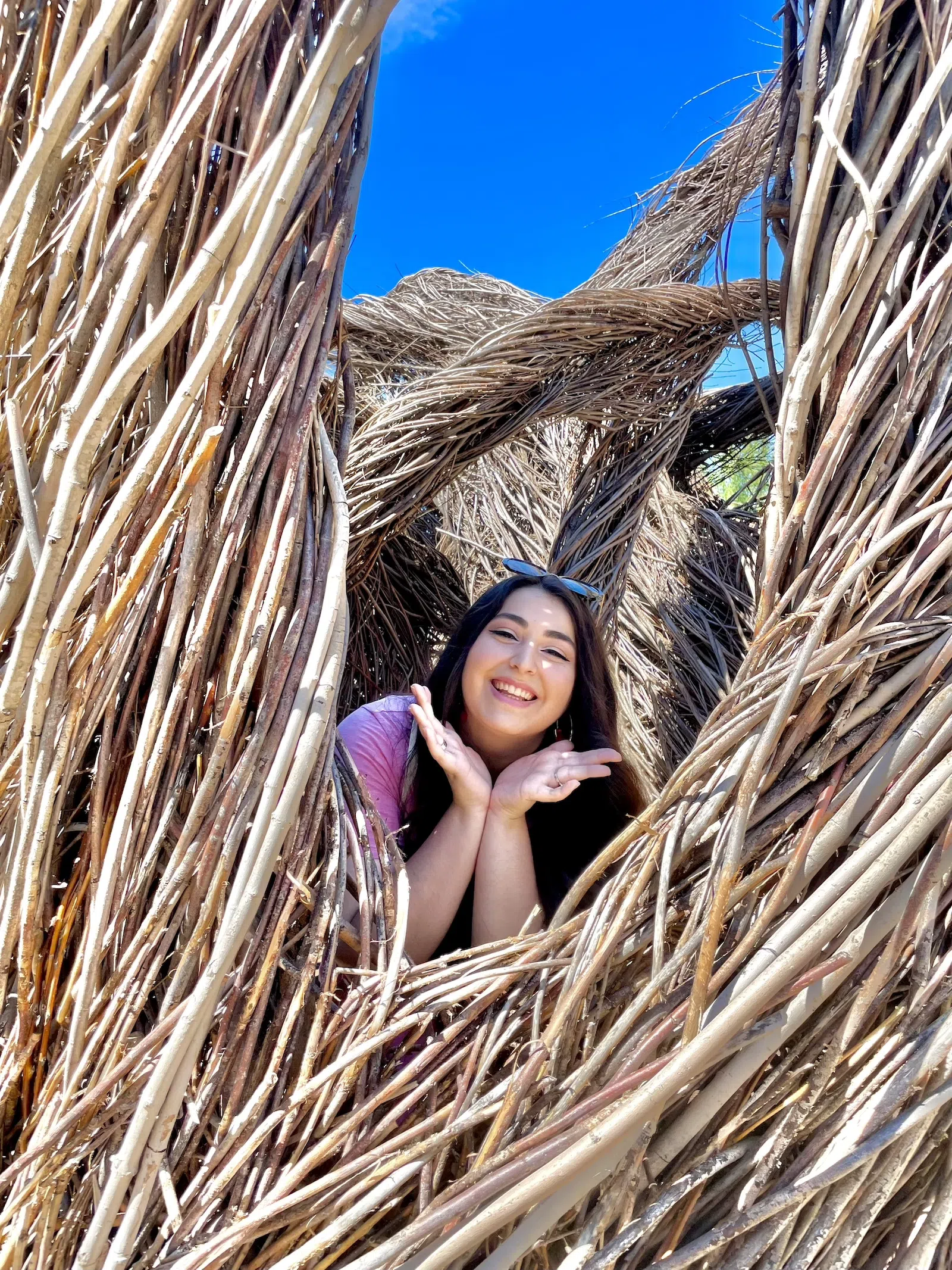 <a href="https://theopinionatedlatina.com/?utm_source=direct&utm_medium=post&utm_id=parkerandsam" target="_blank">Anapaula peeking</a> out from the natural sculpture outside the US Botanical Gardens on a perfectly sunny day in DC.