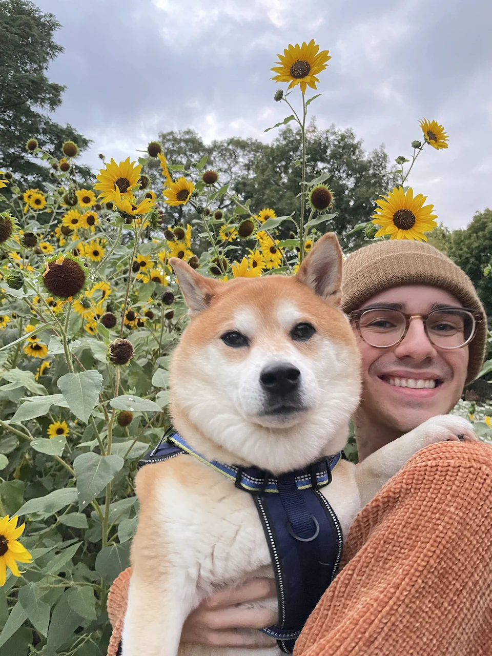 Parker and Niko cheesin' in High Park in front of some flowers that were attracting bees 🐝.